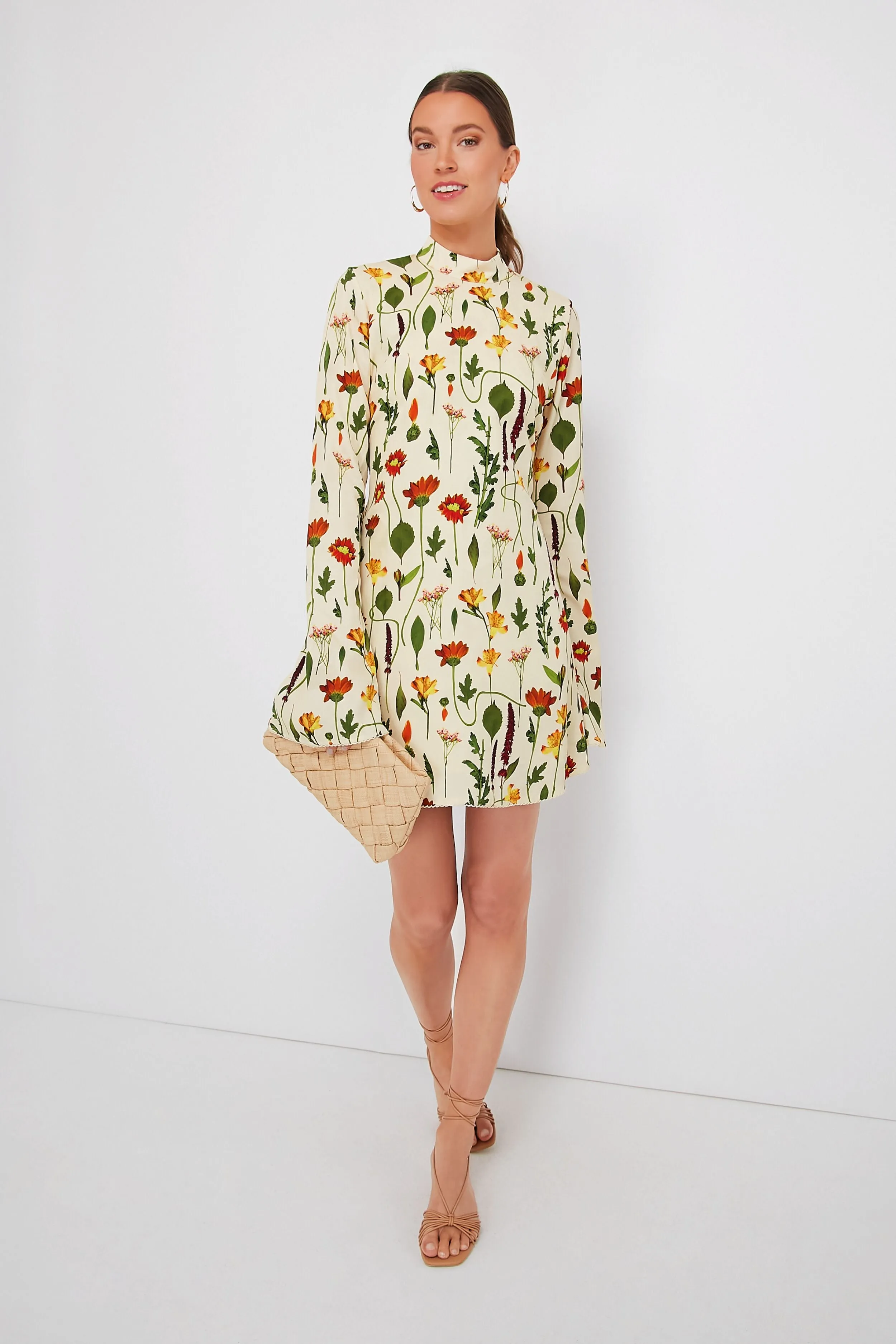 Primavera Sur Mini Dress